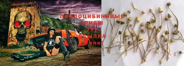 a pvp Абинск