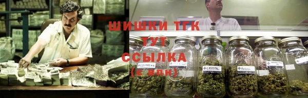 спиды Абаза