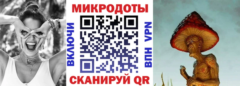 наркота  Ростов-на-Дону  мега сайт  Псилоцибиновые грибы мицелий 